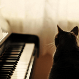 Screen Shot 2016-06-10 at 02.48.32.png